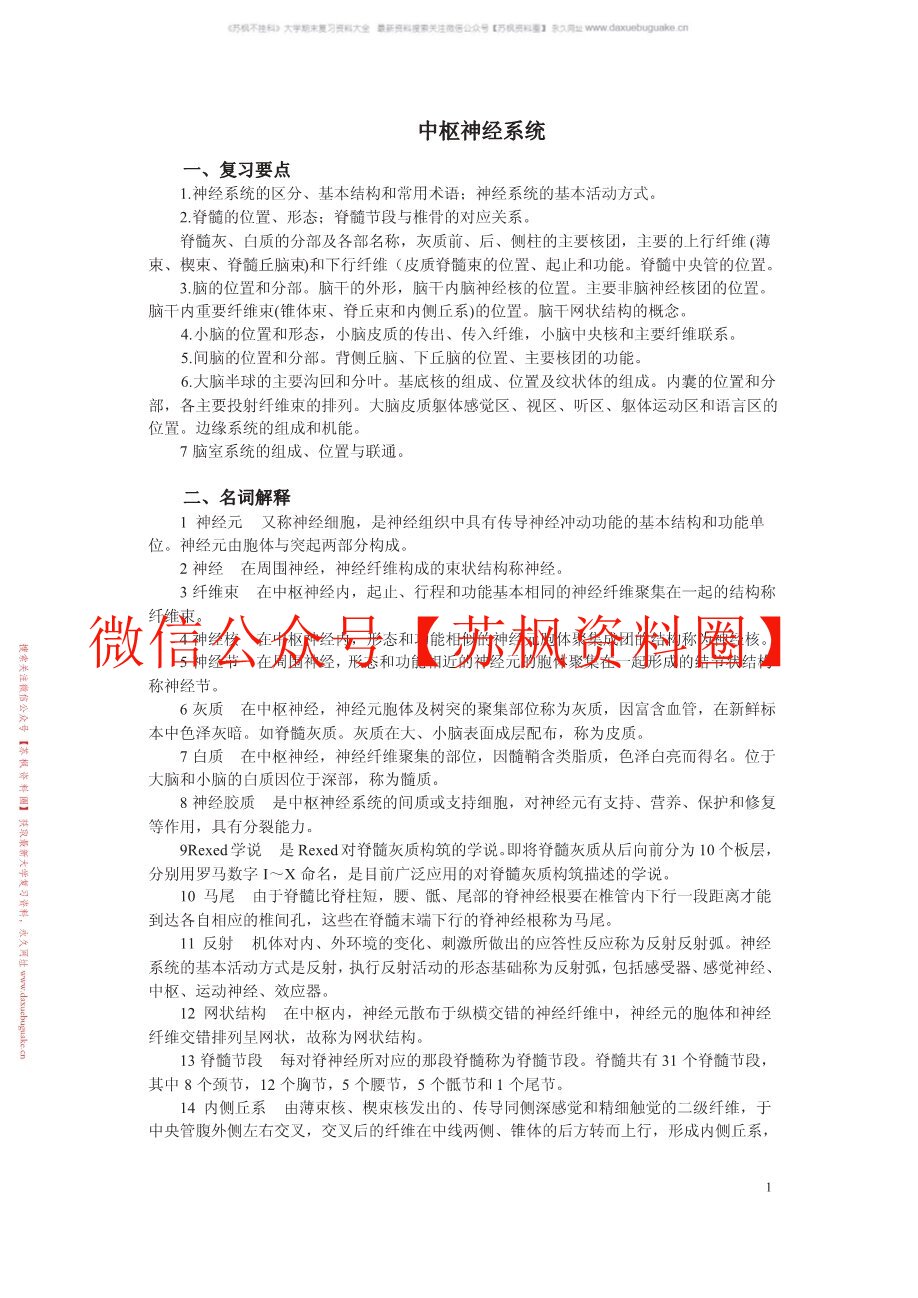 中枢神经系统